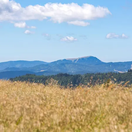 Haus Weitblick - Herzogenhorn - Bernau, Schwarzwald Bernau im Schwarzwald
