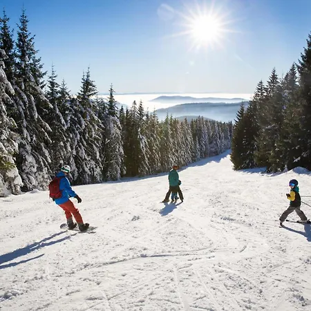 Haus Weitblick - Herzogenhorn - Bernau, Schwarzwald Bernau im Schwarzwald