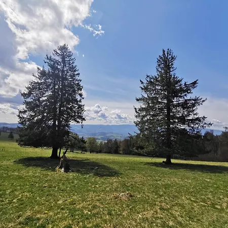 Haus Weitblick - Herzogenhorn - Bernau, Schwarzwald Apartamento *